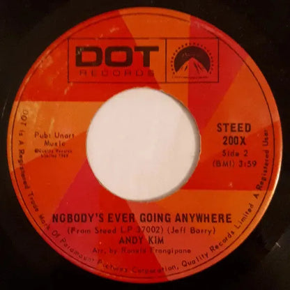 Andy Kim : I Wonder If I Care As Much (7")