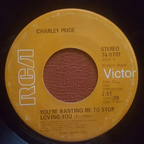 Charley Pride : It's Gonna Take A Little Bit Longer / You're Wanting Me To Stop Loving You (7")