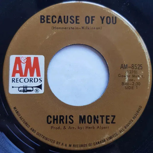 Chris Montez : Because Of You (7", Single)