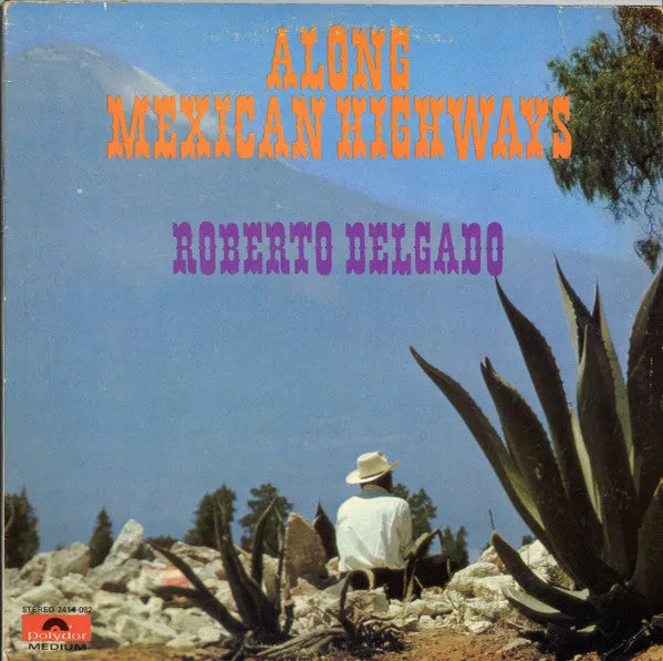 Roberto Delgado : Along Mexican Highways (LP, Comp)