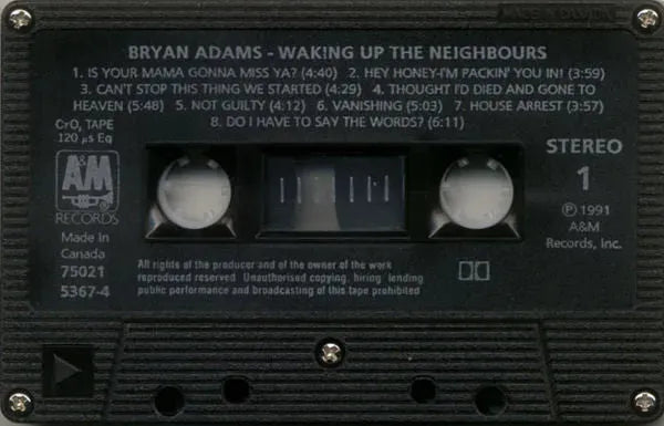 Bryan Adams : Waking Up The Neighbours (Cass, Album, CrO)