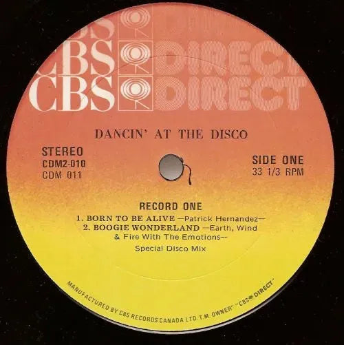 Various : Dancin' At The Disco (2xLP, Comp, Mixed)