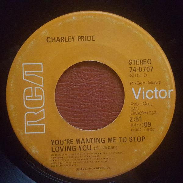Charley Pride - It's Gonna Take A Little Bit Longer / You're Wanting Me To Stop Loving You (7") - 75music